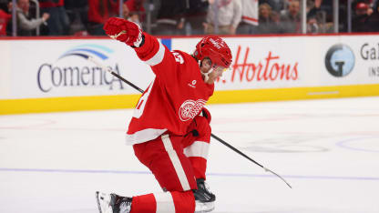 游客可以参 游客可以参